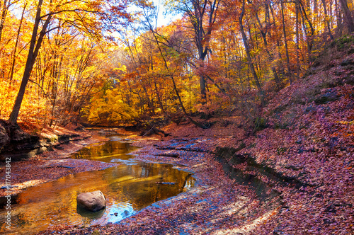 Shallow creek running through a ravine in autumn