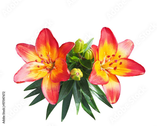 Red-yellow beautiful lily bouquet on a white background