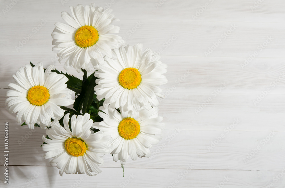 Obraz premium bouquet of daisies on white wooden table