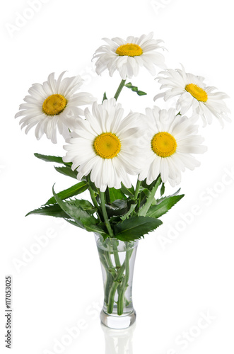 bouquet of daisies on white background © Soyka