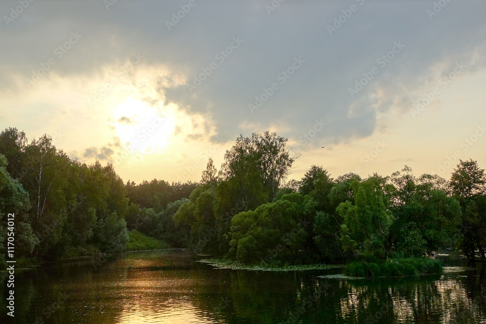 Forest near the river at sunset
