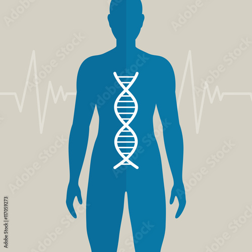 Vector Illustration of Human DNA