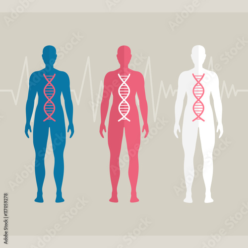 Vector Illustration of Human DNA