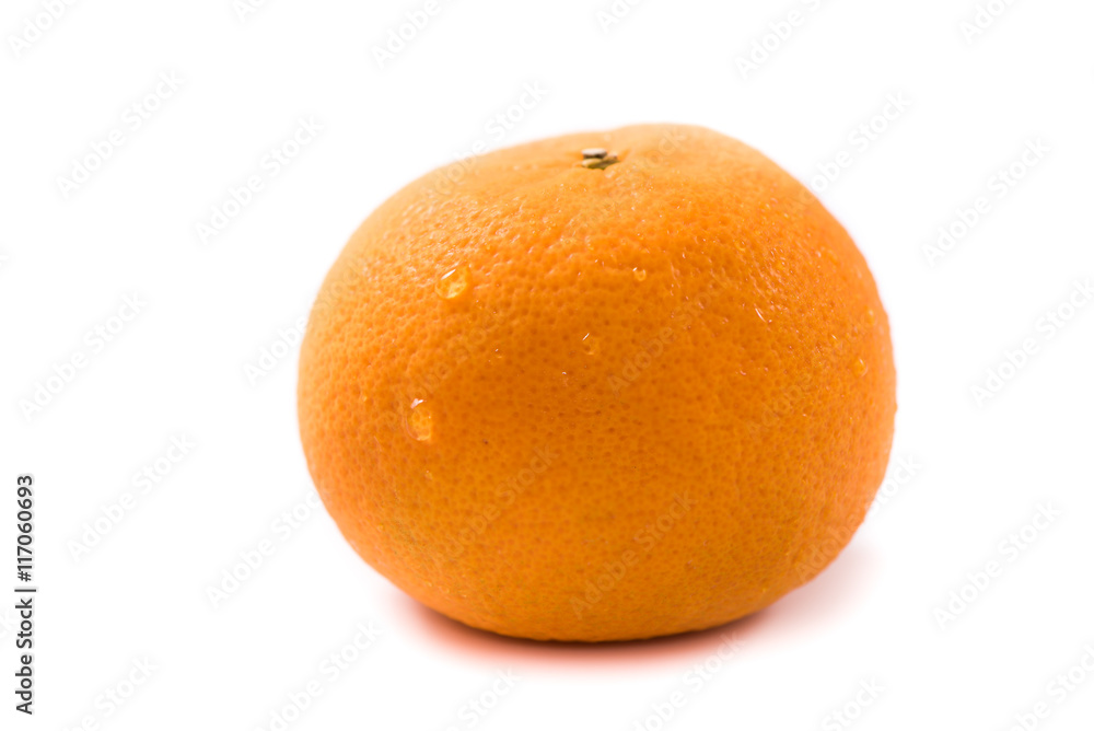 Orange on white background Orange on white background