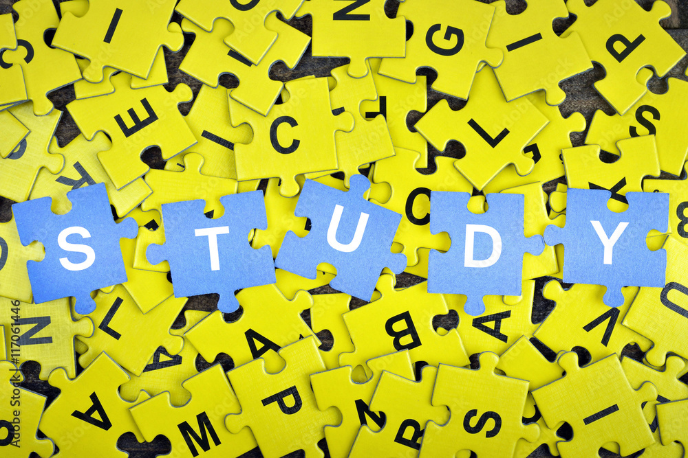 Puzzle with word Study Puzzle with word Study