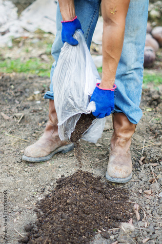 man prepare a soil for a farm.