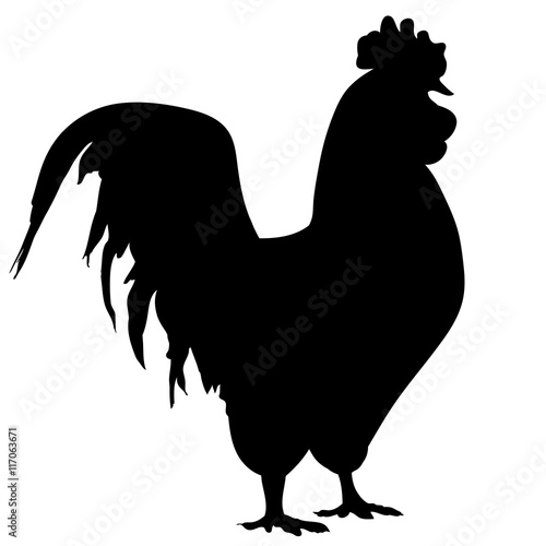 Silhouette of a rooster-vector. Chicken 