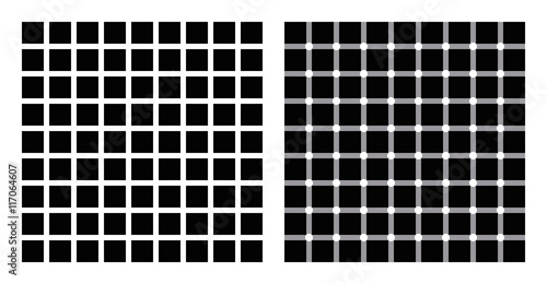 Hermann grid and scintillating grid illusion. In the left figure grey blobs perceived at the intersections. In the right figure dark dots seem to appear and disappear rapidly, hence scintillating. photo