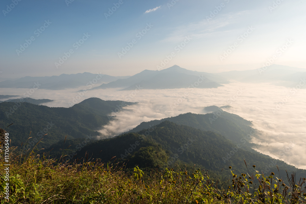 Morning and fog cover mountain at Doi Pha Tang Morning and fog cover mountain at Doi Pha Tang