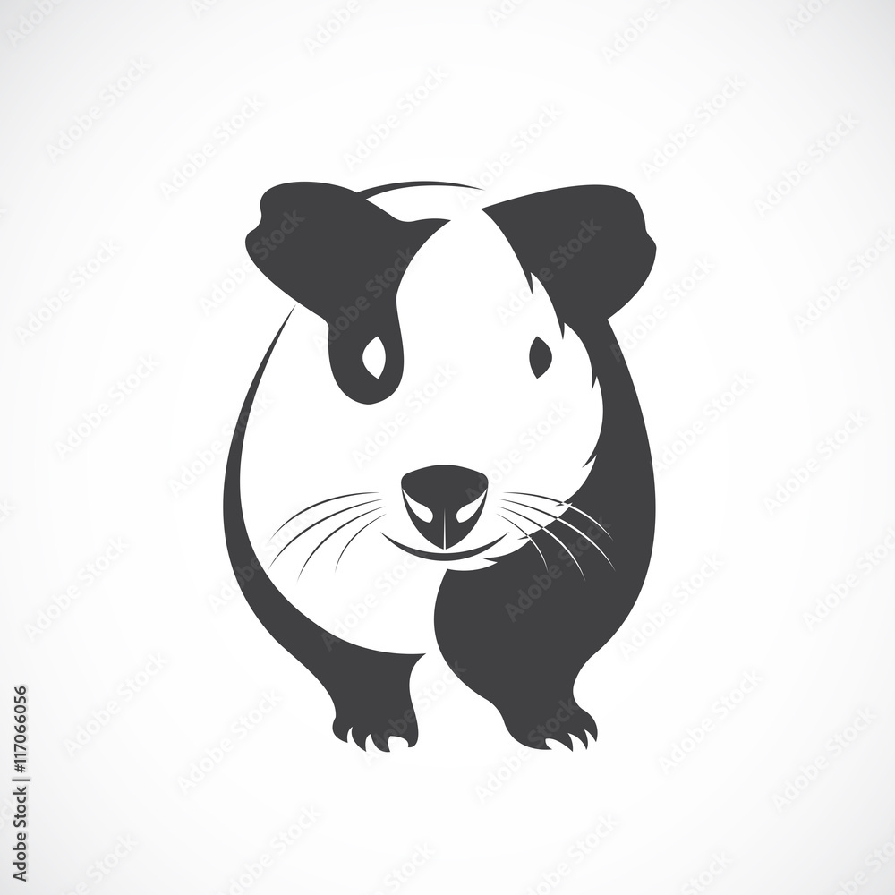 Vector of guinea pig design on white background. Vector of guinea pig design on white background.