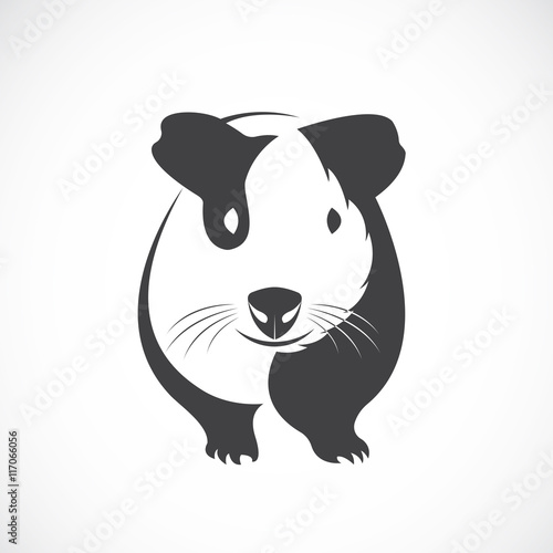 Vector of guinea pig design on white background.