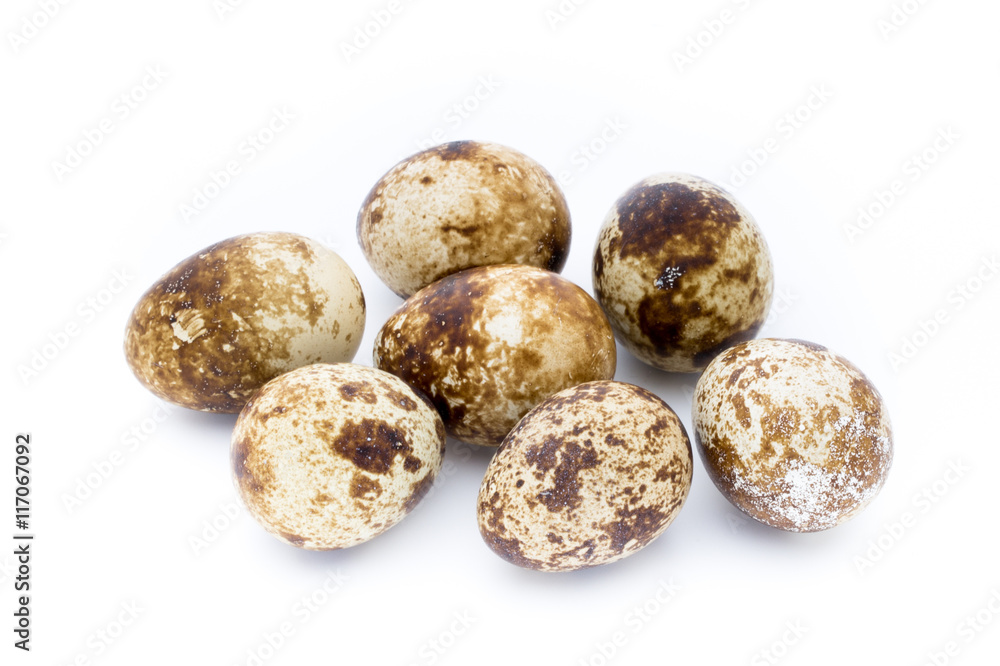 Quail eggs the isolated on a white background. Quail eggs the isolated on a white background.