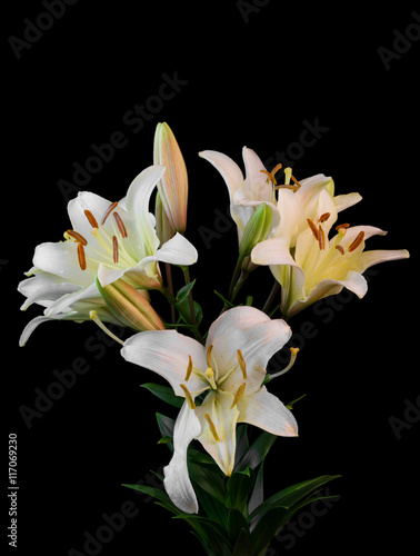 Bouquet of white lilium flowers on black background close-up  view