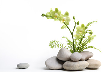 Plexiglas schilderij Spa Stilleven met wellness elementen  © Lily