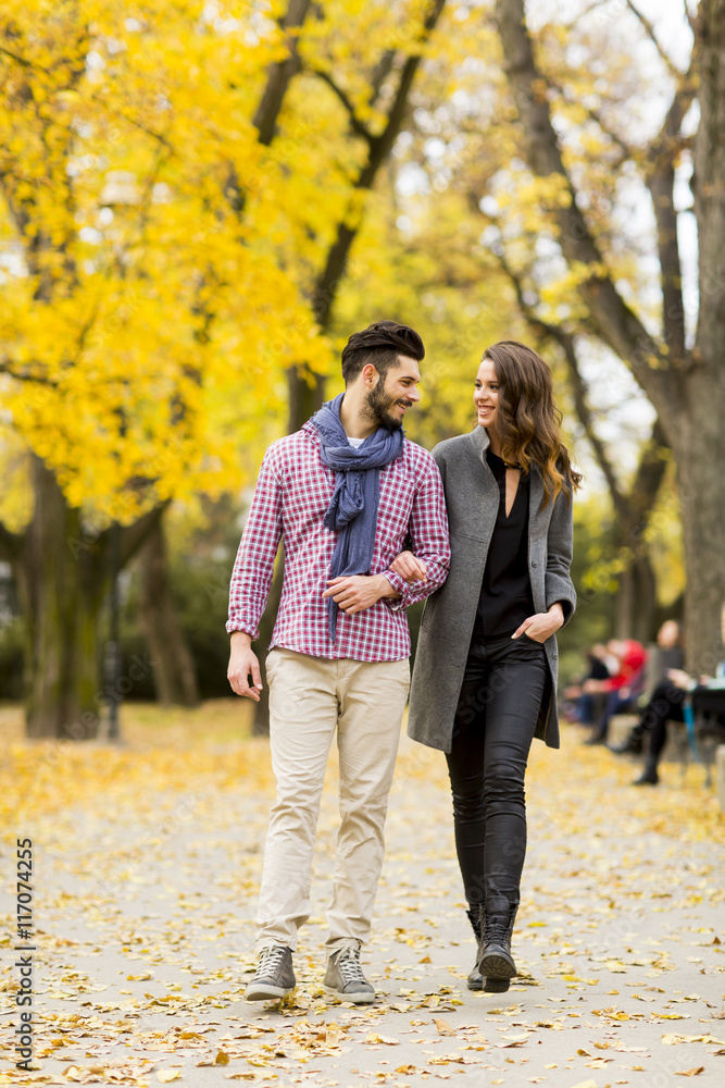 Young couple in the autumn park Young couple in the autumn park