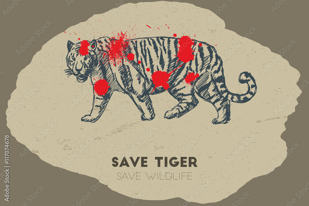 Save Tiger Stock Illustrations  584 Save Tiger Stock Illustrations  Vectors  Clipart  Dreamstime
