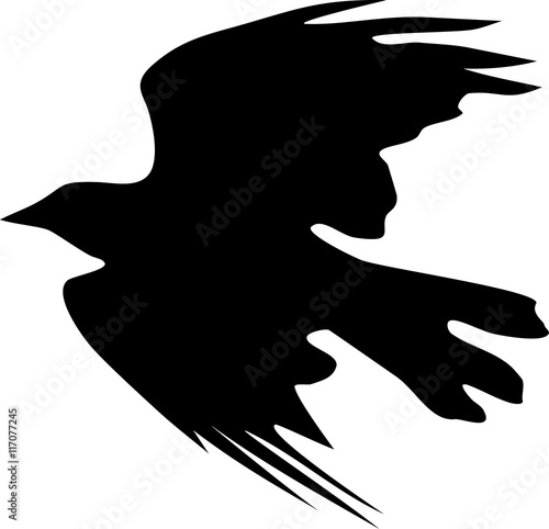 Silhouette of flying crow