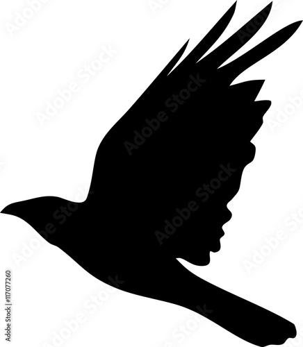 Silhouette of flying crow