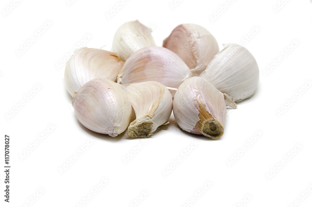 Garlic