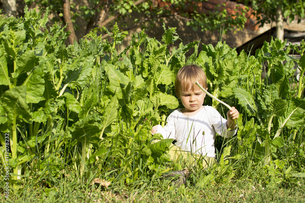 Baby boy sitting in high grass Baby boy sitting in high grass