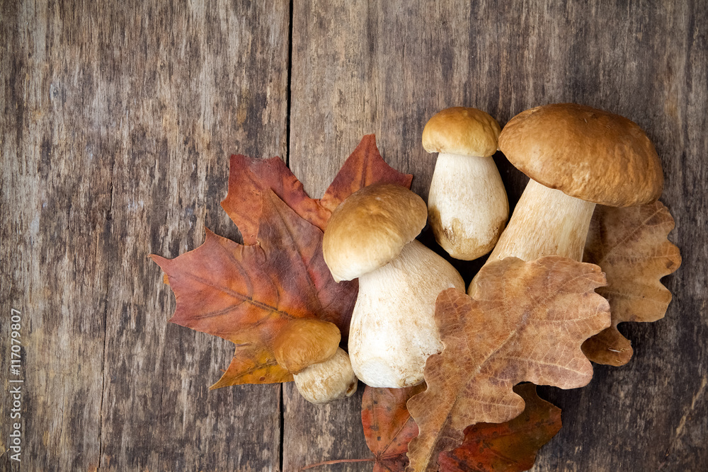 Boletus edulis, mushrooms on wooden background. Boletus edulis, mushrooms on wooden background.