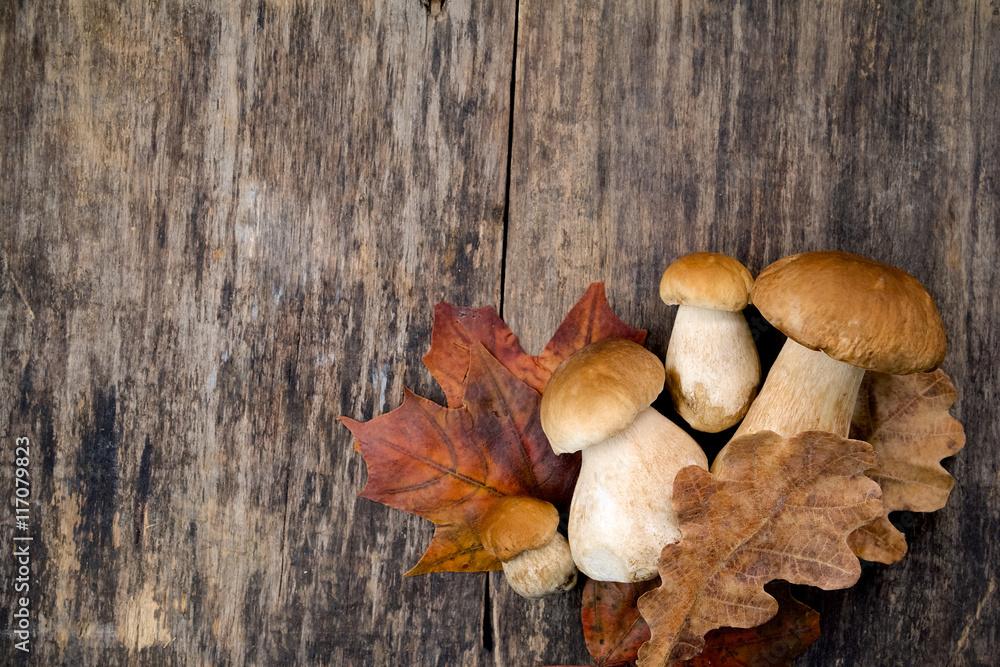 Boletus edulis, mushrooms on wooden background. Boletus edulis, mushrooms on wooden background.