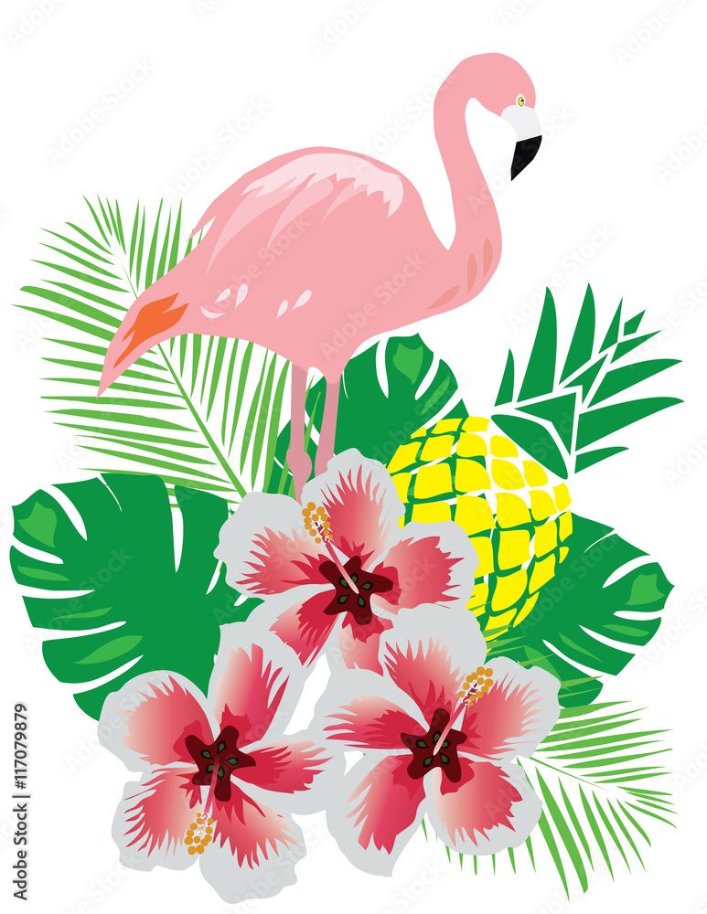 Vector Flamingo Vector Flamingo