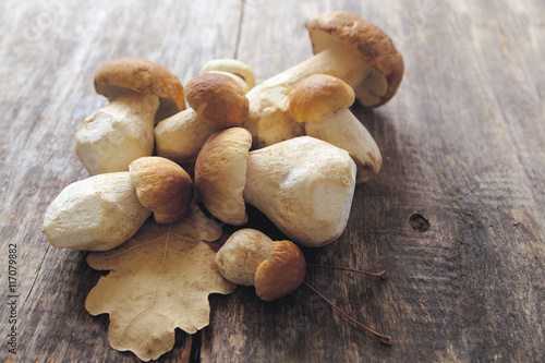 Mushroom Boletus over Wooden Background