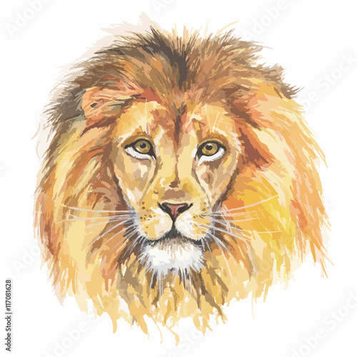Isolated watercolor lion head. African predator and exotic animal. Colorful art.