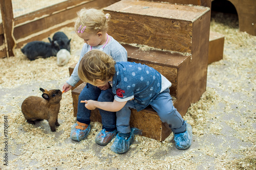 Foto children play with the rabbits in the petting zoo