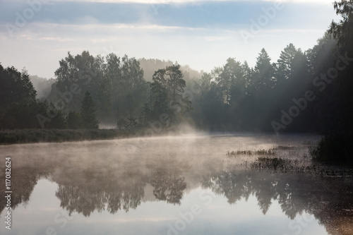 Foggy summer morning on the river