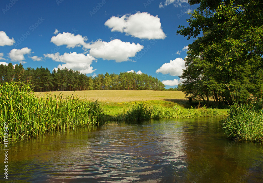 Fototapeta premium Summer landscape with wild river under blue sky