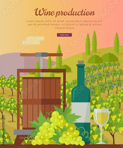 Wine Production Banner. Poster for White Vine.