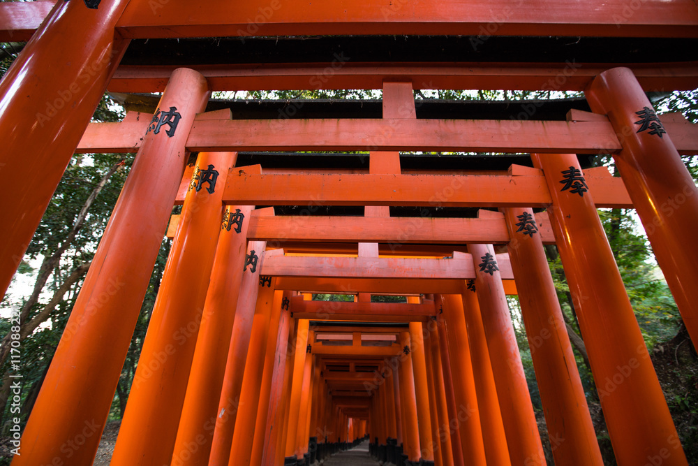 Fushimi Inari Taisha is the head shrine of Inari, located in Fushimi-ku, Kyoto, Japan. Fushimi Inari Taisha is the head shrine of Inari, located in Fushimi-ku, Kyoto, Japan.