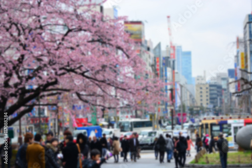cherry blossom and crowded street in Tokyo, blurred background