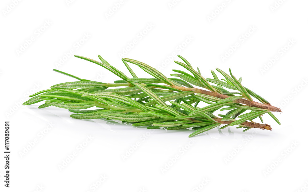 Fototapeta premium rosemary isolated on white background