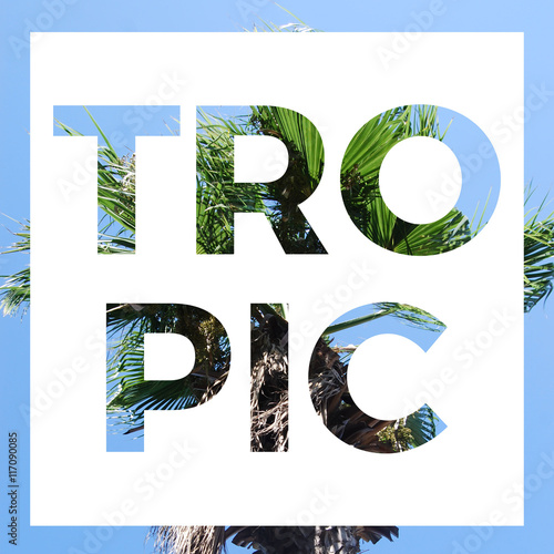 Trendy lettering slogan tropic framed on the background of a summer beautiful palm trees and blue sky. Print floral design fashion wallpaper