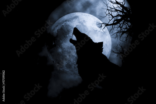Obraz na płótnie Silhouette  Wolf howling at moon .