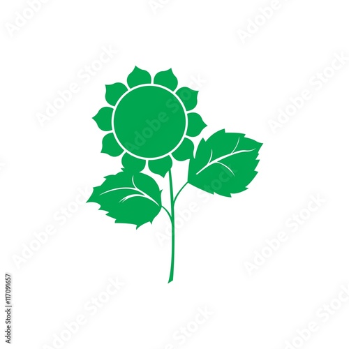 vector illustration of a sunflower on a white background.