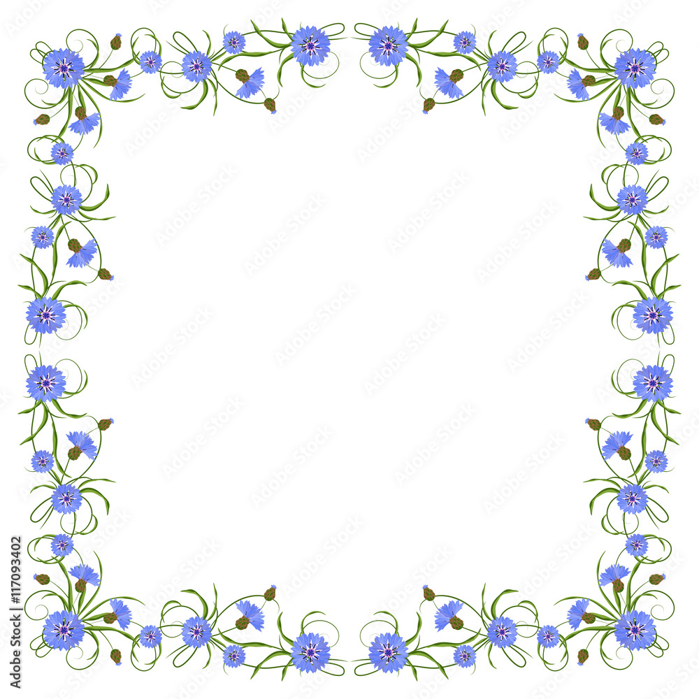 Frame with cornflowers and leaves.