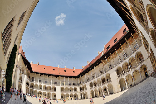 Wawel Royal Castle #117093899