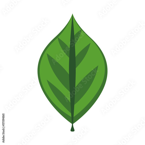 Nature and ecosystem concept represented by green leaf icon. Isolated and flat illustration