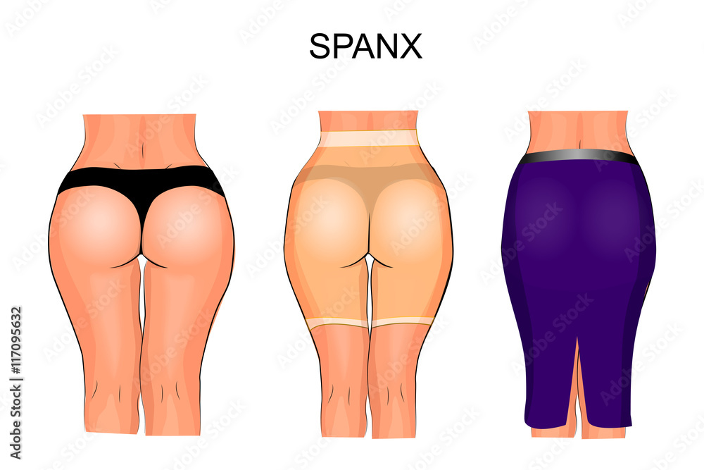 women's buttocks and thighs to tight underwear. spanx Stock Vector