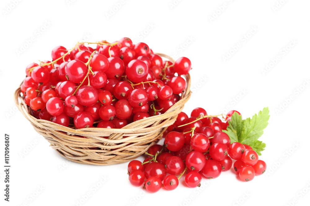 Red currant isolated on a white Red currant isolated on a white