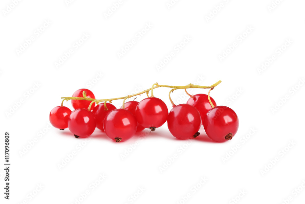 Red currants isolated on a white