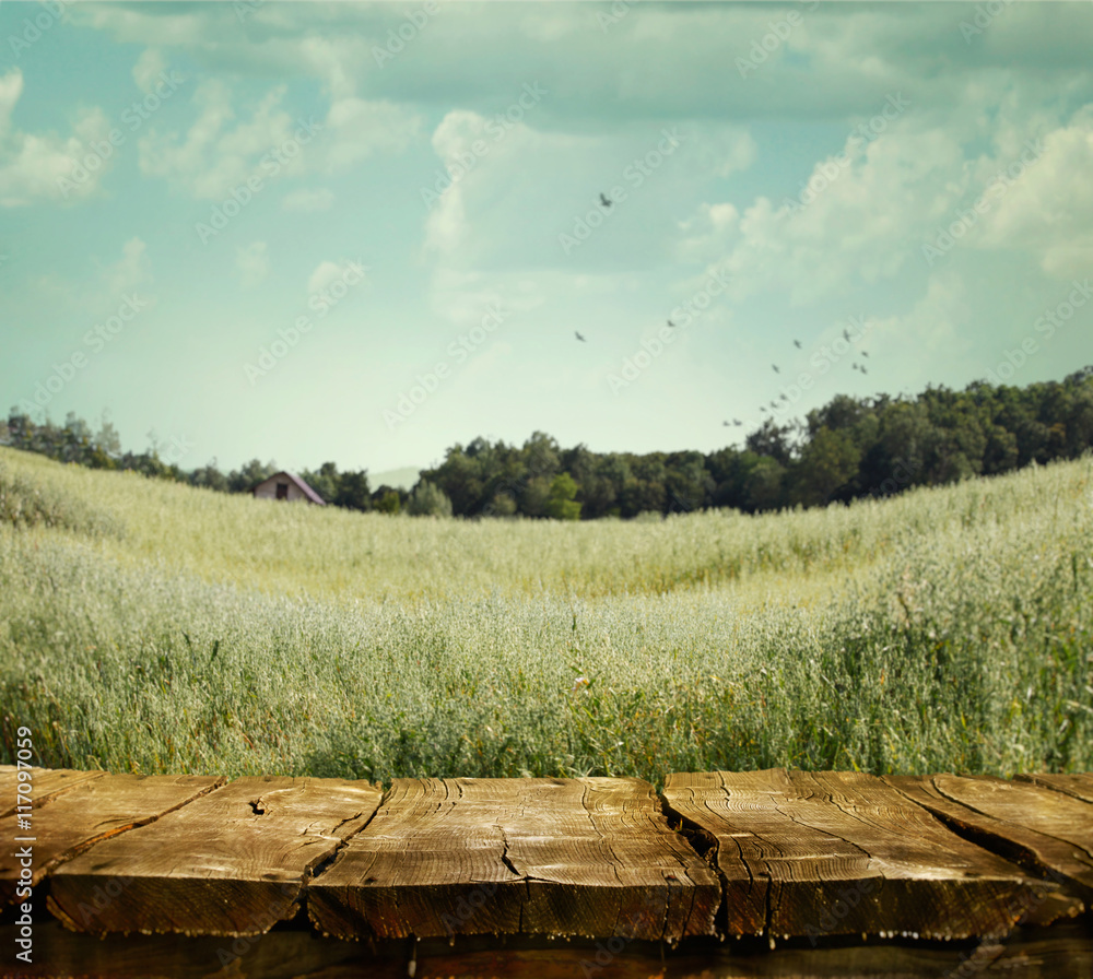 Obraz premium Nature background