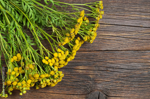 Bouquet of tansy flowers
