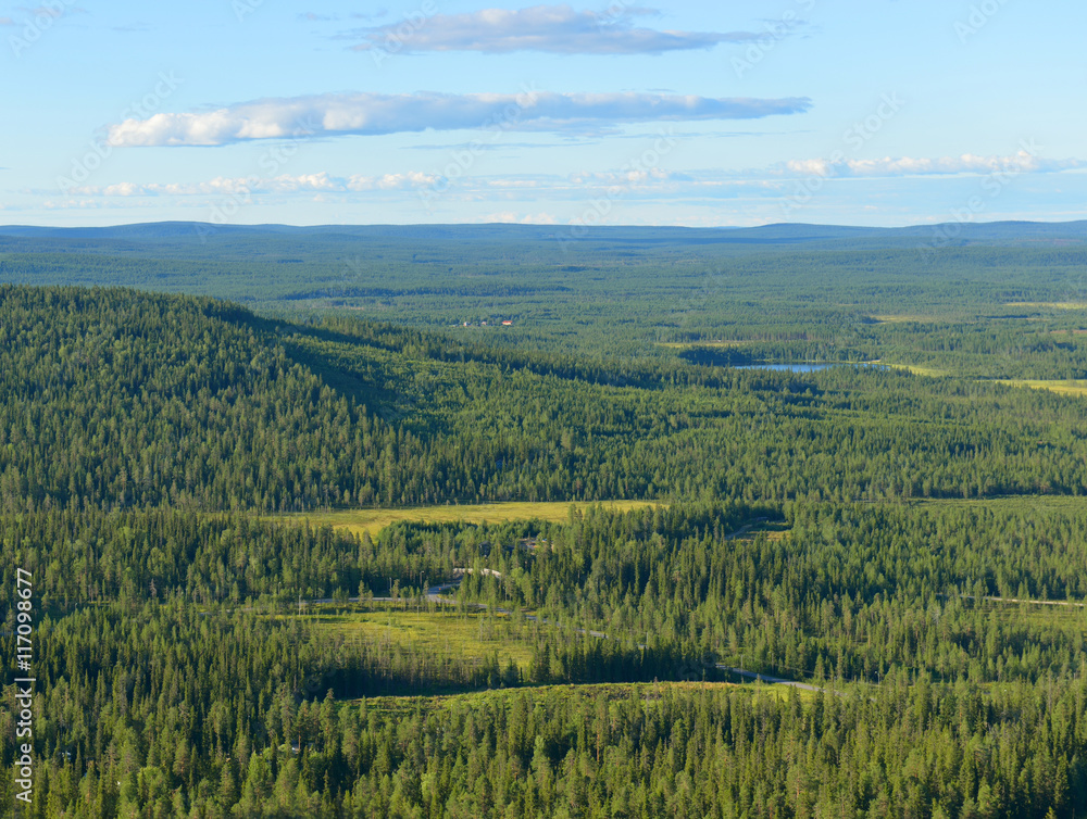 Northern hills and endless forests