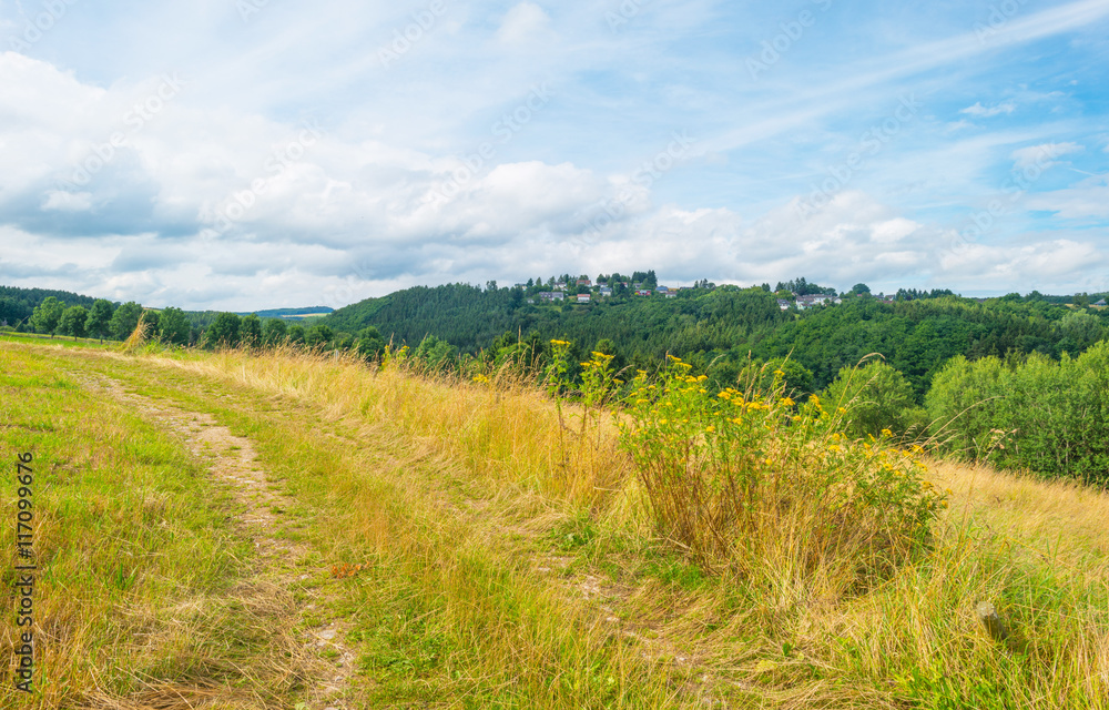 Hills of the Eifel National Park in summer Hills of the Eifel National Park in summer