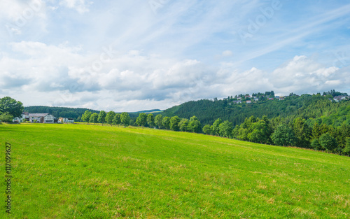 Hills of the Eifel National Park in summer